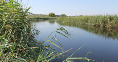 Активисты ОНФ выражают озабоченность состоянием рек в Новоусманском и других районах региона