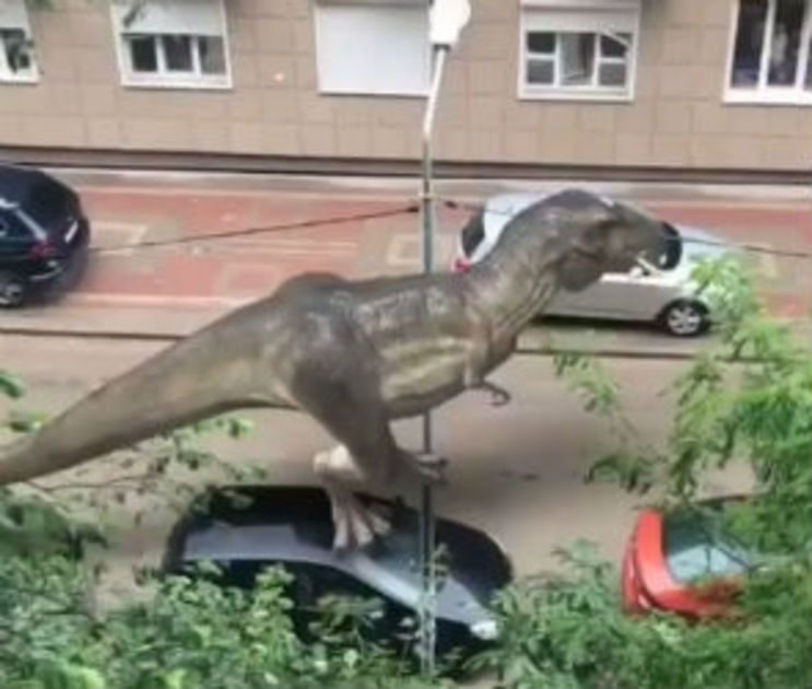 Завтра на улице вам встретится живой динозавр