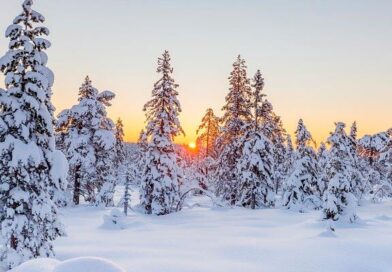 Погода 28 января в Новой Усмани будет снежной