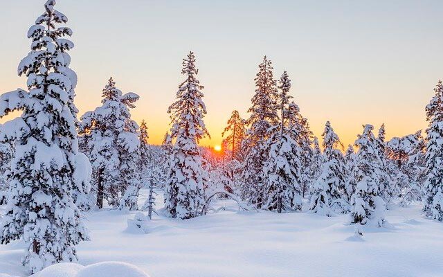 Погода 28 января в Новой Усмани будет снежной